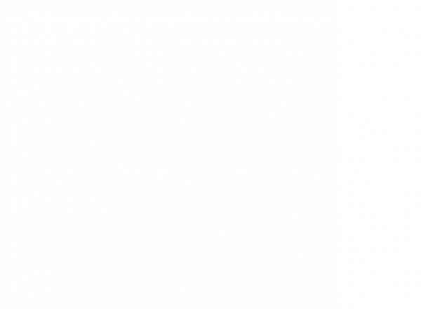 Заточный станок P.I.T PBG125-C1