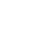 Заточный станок P.I.T PBG200-C1