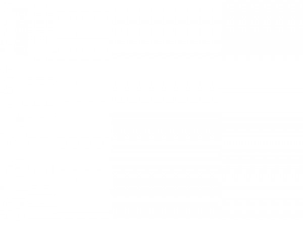 Заточный станок P.I.T PBG200-C1