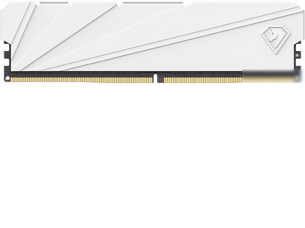 Оперативная память Netac Shadow S 16ГБ DDR4 2666 МГц NTSSD4P26SP-16W