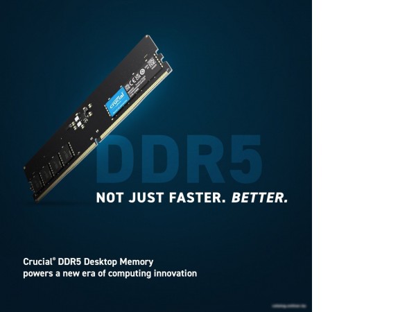 Оперативная память Crucial 8ГБ DDR5 5600 МГц CT8G56C46U5