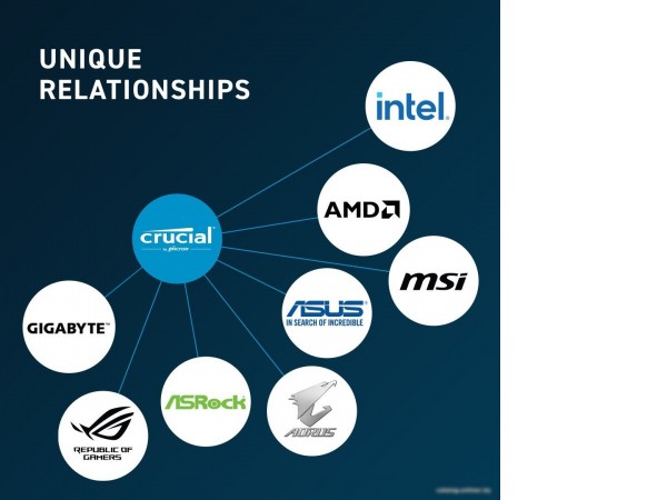 Оперативная память Crucial 8ГБ DDR5 5600 МГц CT8G56C46U5