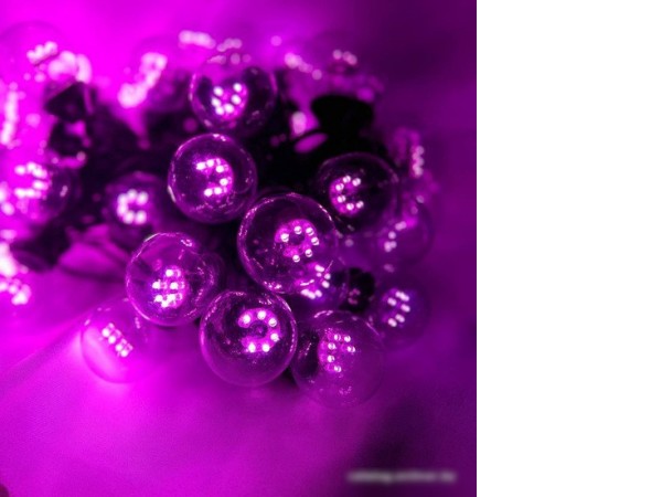 Новогодняя гирлянда ULED ULED-BL-50-220V-(B-P)