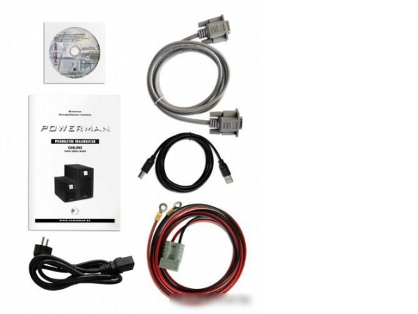 Источник бесперебойного питания Powerman Online 1000 Plus