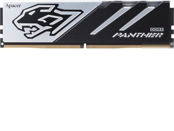 Оперативная память Apacer Panther 2x32ГБ DDR5 6000 МГц AH5U64G60C6227BAA-2