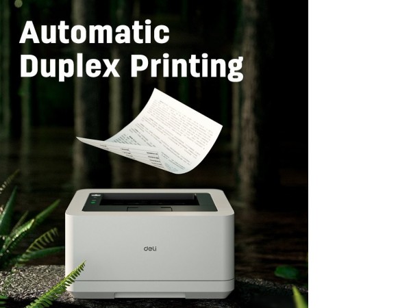 Принтер Deli P2000DNWs