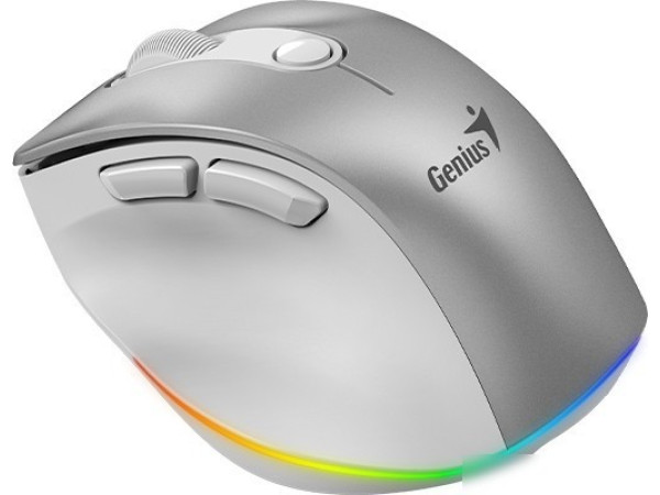Мышь Genius Ergo 9000S Pro (серебристый)