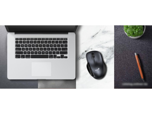 Мышь Genius Ergo 8200S (серый)