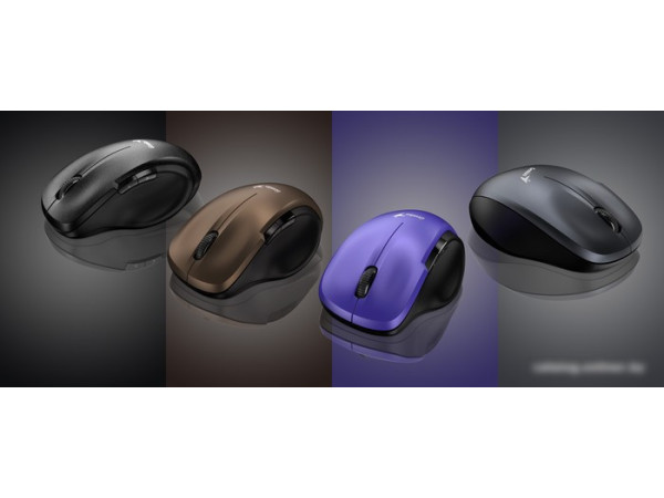 Мышь Genius Ergo 8200S (серый)