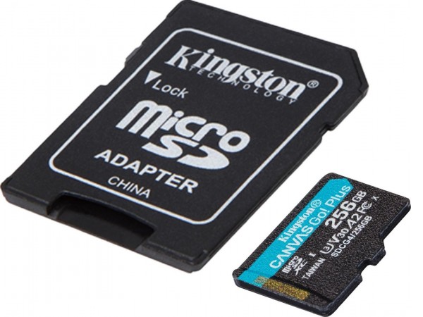 Карта памяти Kingston Canvas Go! microSDXC 256GB SDCG4/256GB (с адаптером)